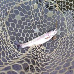 船釣りが中止になってしまったので・・・