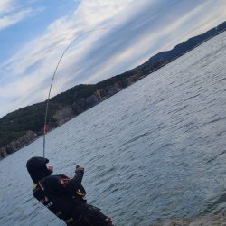 和歌山市江（吉丸渡船）でグレ釣り