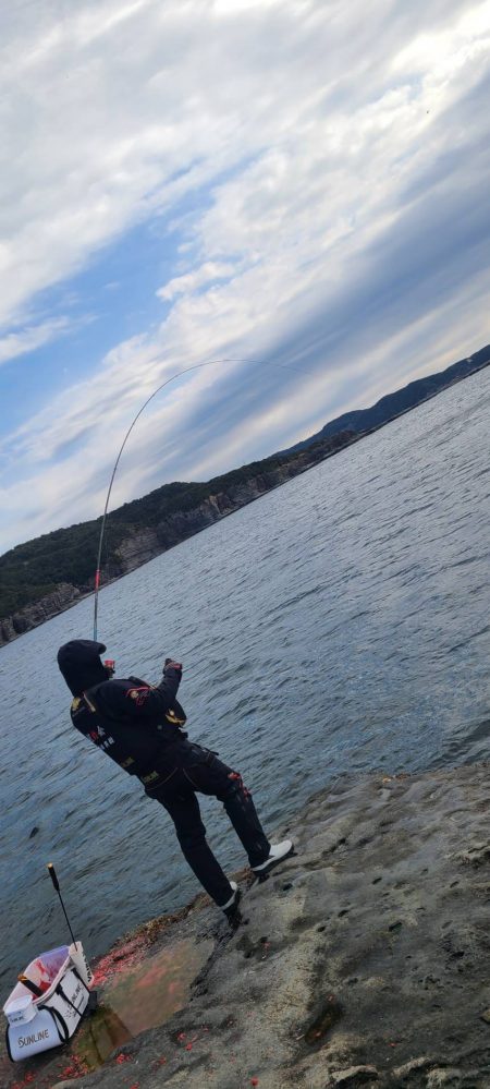 和歌山市江（吉丸渡船）でグレ釣り