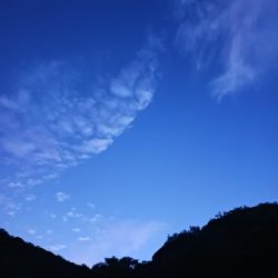 とりあえずアオリ6回目