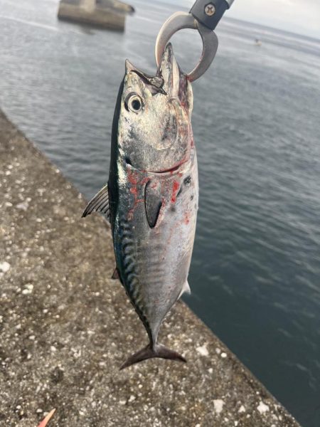 津久見　保戸島