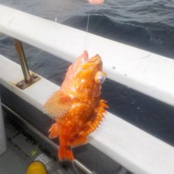 完全フカセ第2戦〜倉丸〜