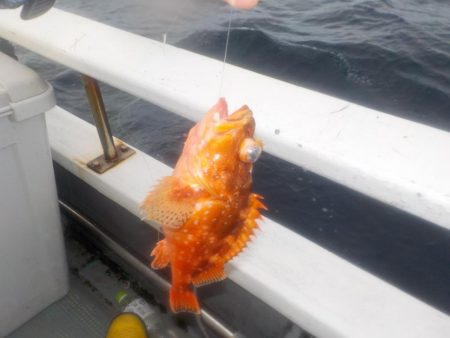 完全フカセ第2戦〜倉丸〜