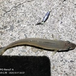 久しぶりの淡路島