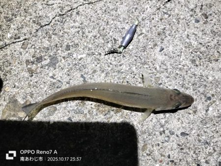 久しぶりの淡路島