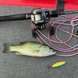 ディープホール55cm