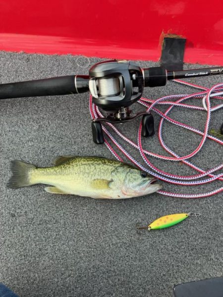 ディープホール55cm