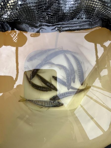 釣果も天気も寒い