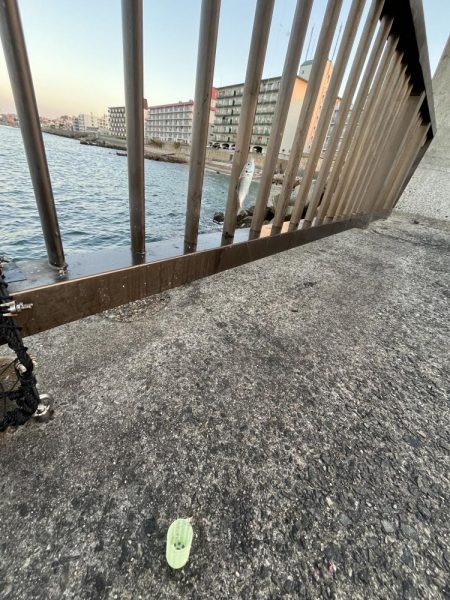 サビキはまだいける