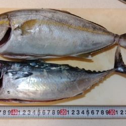 日本海ジギング