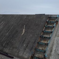 武庫川一文字で祭りならず、サゴシ1匹ゲット