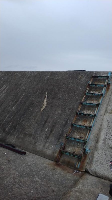 武庫川一文字で祭りならず、サゴシ1匹ゲット