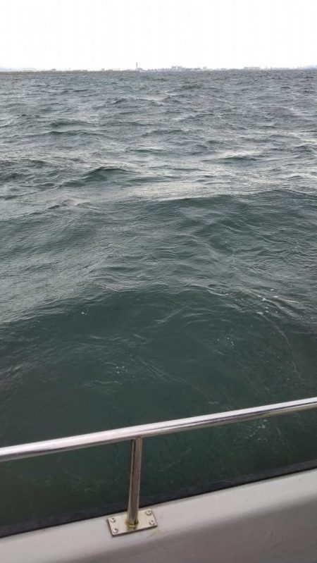 大阪湾インショアキャスティングでサゴシ祭り