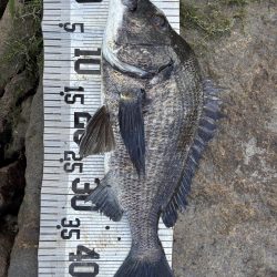 イチノ兄弟、釣果！