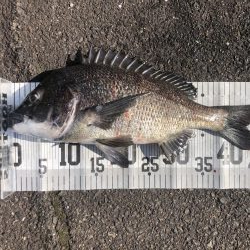 イチノ兄弟、釣果！