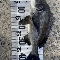 イチノ兄弟、釣果！