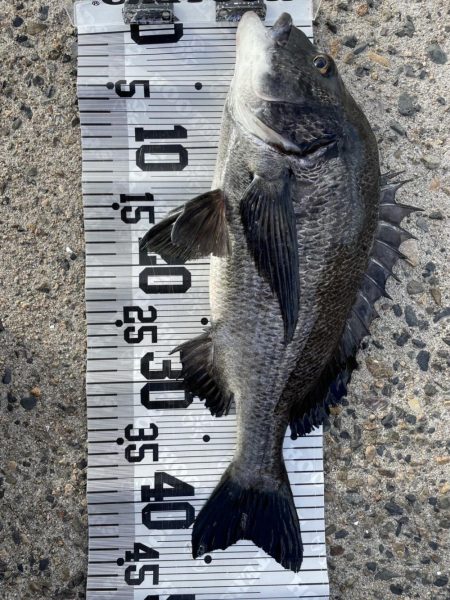 イチノ兄弟、釣果！