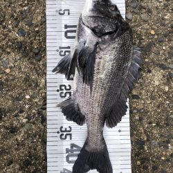 イチノ兄弟、釣果!