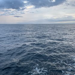 2025 佐渡ヶ島エギング Vol.29【10月12日】