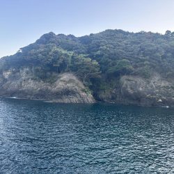 久しぶりのアジ