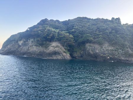 久しぶりのアジ