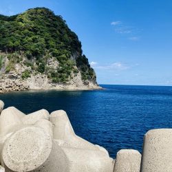 久しぶりにGコン活躍