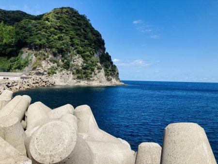 久しぶりにGコン活躍