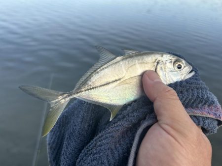 帰ってきたメッキ！４種コンプリート！