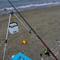 初秋のキス釣り