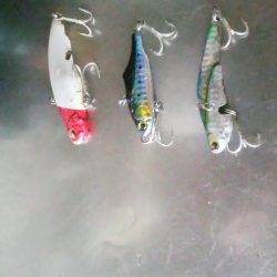 本日の釣行は楽しかったです＾＾。