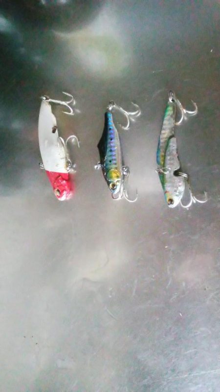 本日の釣行は楽しかったです＾＾。