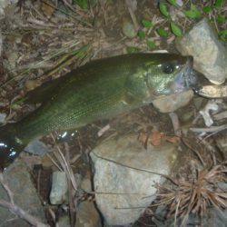 10月19日 一庫ダム釣行