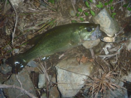 10月19日 一庫ダム釣行