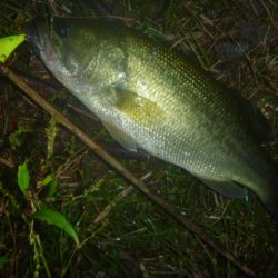 10月22日 一庫ダム釣行