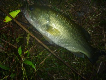 10月22日 一庫ダム釣行