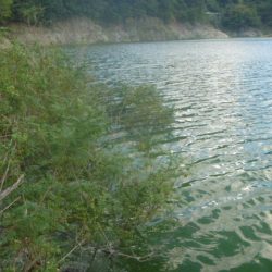 一庫ダム釣行　10月28日