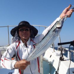 青物落とし込み釣り