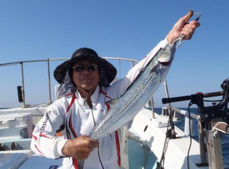 青物落とし込み釣り