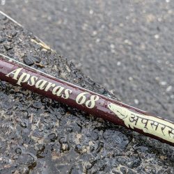 紀ノ川下流で雷魚