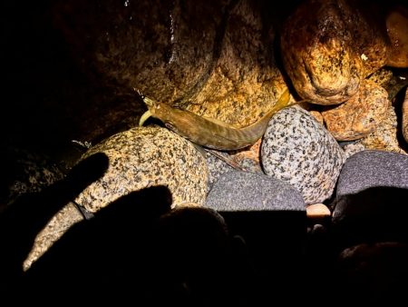 雨のなか、ポツポツと