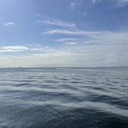 ショアジギング