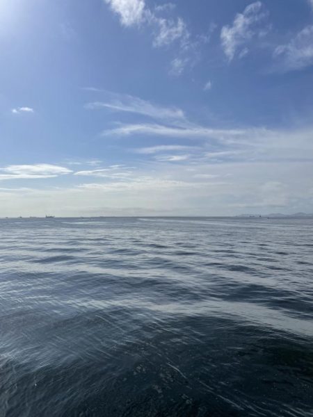 ショアジギング