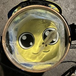 アジングだったけど