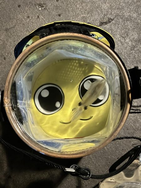 アジングだったけど