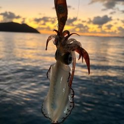 晩御飯の一品が…