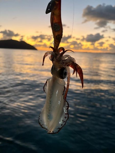 晩御飯の一品が…