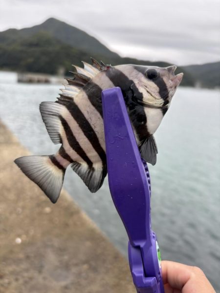 秋イカ探し　失敗2