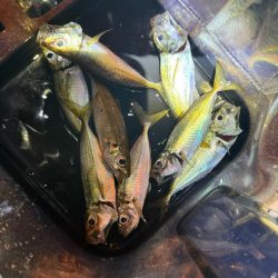 深夜の癒しの時間