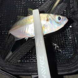 やっと、つ抜け達成