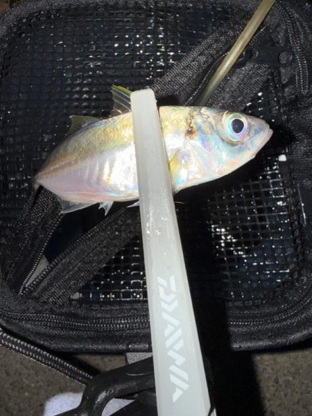 やっと、つ抜け達成